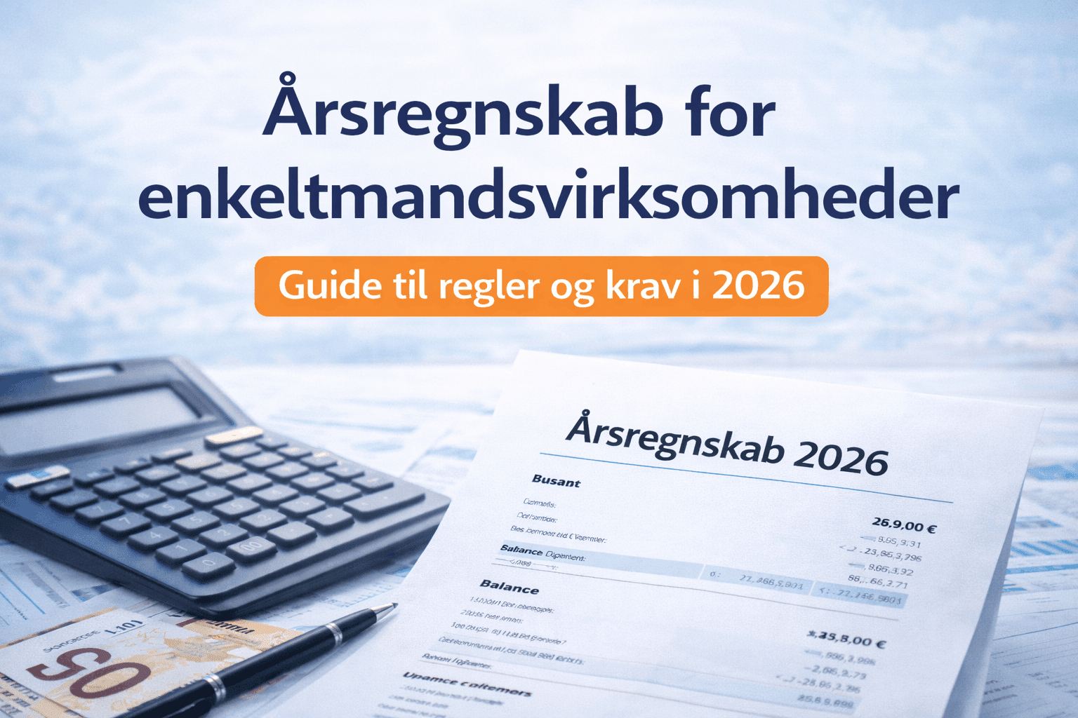 Årsregnskab for enkeltmandsvirksomheder